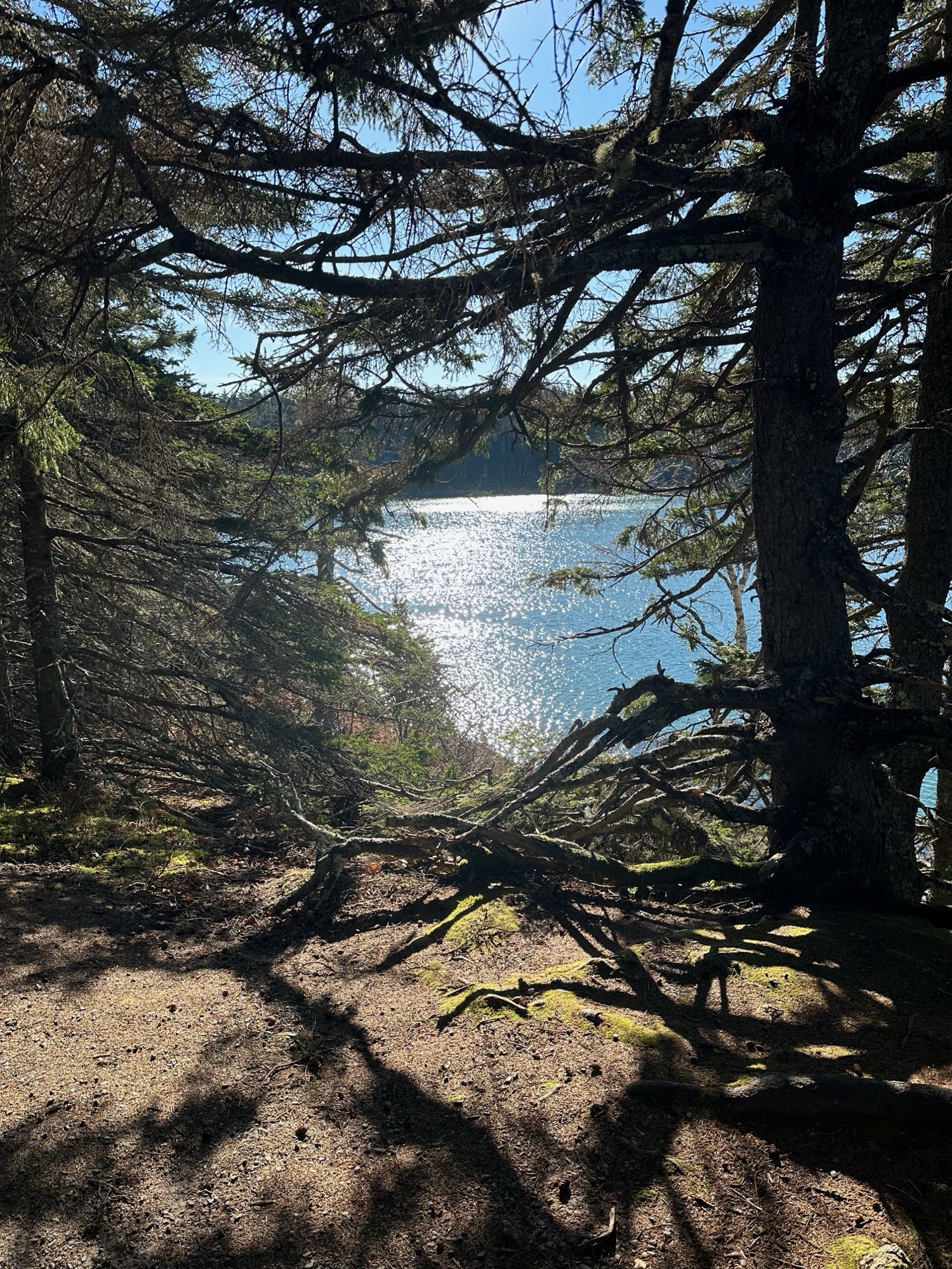 Natural phenomena documentation